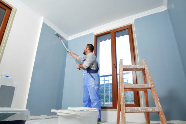 Dawson Springs, KY Mold Removal Company